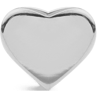 Daniel Wellington DW Earrings Micro 3,8mm Silver